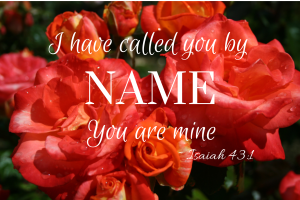 Roses with Isaiah 43:1