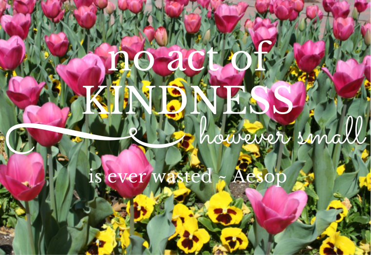 Kindness Quote by Aesop